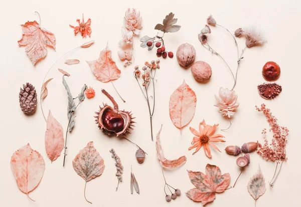 Pozadí kreativní žluté suché listy, žaludy, květiny. Podzim — Stock fotografie