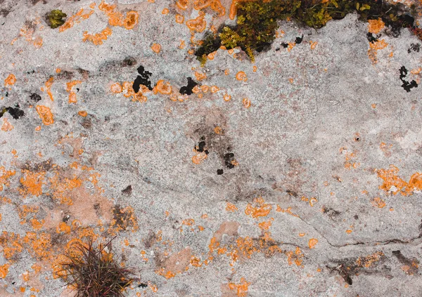 Velha pedra grunge cinza textura laranja — Fotografia de Stock