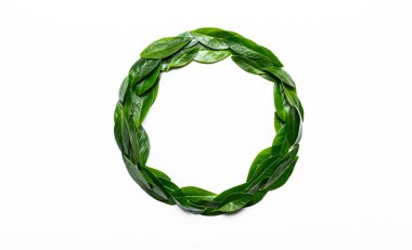 Beyaz arka planda yeşil yapraklar yuvarlak bir çerçeve. Minimalist, çevreci, çevre dostu, yaratıcı konsept. Yukarıdan görüntüle