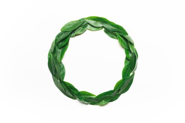 Beyaz arka planda yeşil yapraklar yuvarlak bir çerçeve. Minimalist, çevreci, çevre dostu, yaratıcı konsept. Yukarıdan görüntüle