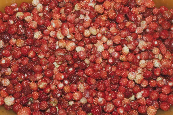 Red Ripe Wild Strawberry Texture Background — Stock Photo, Image