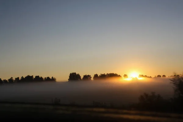 foggy early morning, sunrise over the field