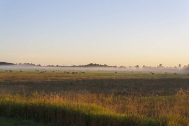 Sisli sabah erken, gündoğumu alan