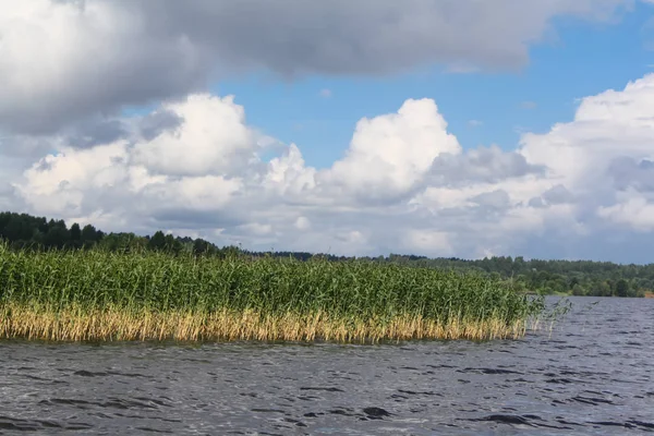 Reed Oever Van Lake — Stockfoto