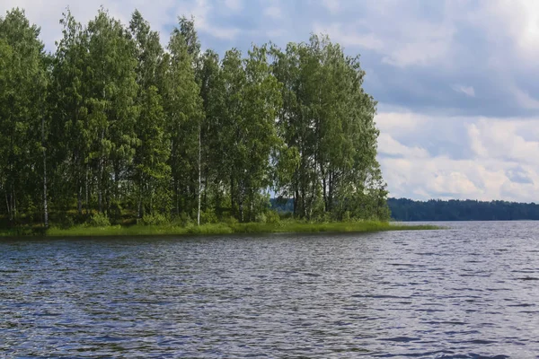 Grote Bosrijke Eiland Het Meer — Stockfoto