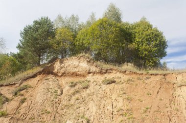 birkaç ağaçların üzerinden bir kumlu cliff kırsal manzara