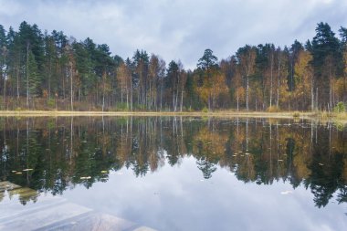 Ormandaki sessiz göl batan güneşin ışığı altında.