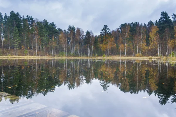 Rustig Meer Het Bos Bij Het Licht Van Ondergaande Zon — Stockfoto