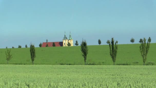 Ocistovani Panny Marie εκκλησιών προσκυνήματος σε το Dub nad Moravou, τα πεδία με πράσινες άγουρες σιτάρι και βιασμού συν μοναχικά δέντρα στο όμορφο αγροτικό τοπίο Hana, βιώσιμη ανάπτυξη, Ευρώπη — Αρχείο Βίντεο