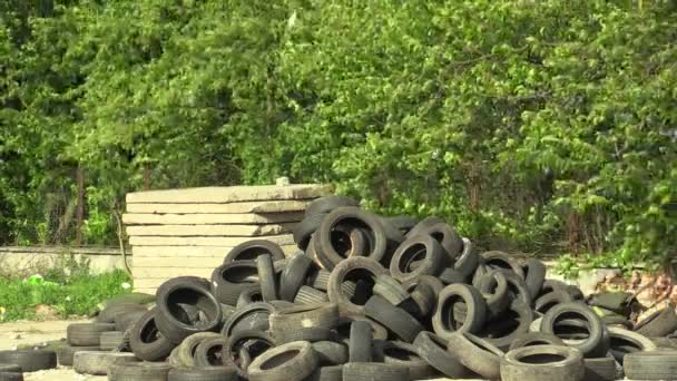 Montón de neumáticos usados caucho en un patio de recogida de residuos, listo para el reciclaje y otros usos, desarrollo sostenible, Europa — Vídeos de Stock