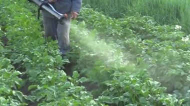 Kimyasal böcek ilacı Solanum tuberosum patates Bakanlıkça tavsiye patates colorado böceği karşı modern sprey, adam mist blower püskürtme cihazı kullanıyor