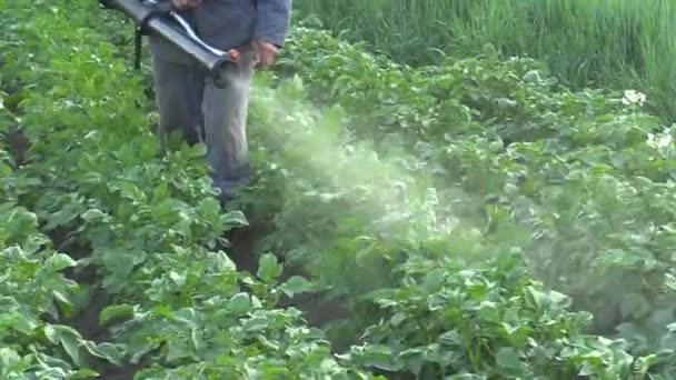 Plaguicida químico moderno spray de Solanum tuberosum patata contra Leptinotarsa decemlineata patata colorado escarabajo, el dispositivo está utilizando el hombre niebla soplador pulverización — Vídeos de Stock