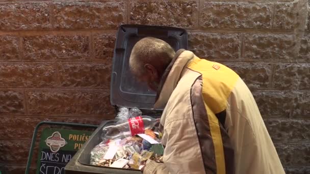 Olomouc, Tjeckien, 5 maj 2018: Den hemlösa mannen väljer cigarettfimp matrester med händerna smutsiga från papperskorg papperskorgen och sätter det i påsen. Civilisationen ger fattigdom, gulsot — Stockvideo