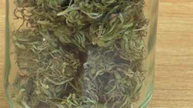 Tıbbi esrar kenevir hasat kurutulmuş tohumları kalite bir bardak için merhem ve bilim modern eğilim, bilim adamları tarafından geliştirilen kremleri imalatı ile pistils, big bud tohum tepecik, Europe