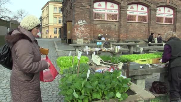 Olomouc, Tsjechië, maart 30, 2018: markt verkoop van sla, groene salade, koolrabi en bieslook in de broeikasgassen zaailingen transplantatie, traditie in de stad van Olomouc, tuinieren, bio kwaliteit — Stockvideo