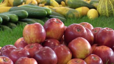 Canlılık için taze kırmızı elma, salatalık, kabak, kabak ve kabaklar, kaliteli doğal meyve ve sebzeler, mükemmel çeşitleri, sağlıklı beslenme ile Pazar