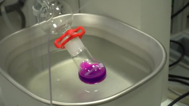 Strumenti scientifici e attrezzature fiaschette rotanti, provette per recipienti con scienza chimica organica liquida per la ricerca scientifica moderna, analisi del campione di dettaglio di laboratorio, tecnologia da vicino — Video Stock