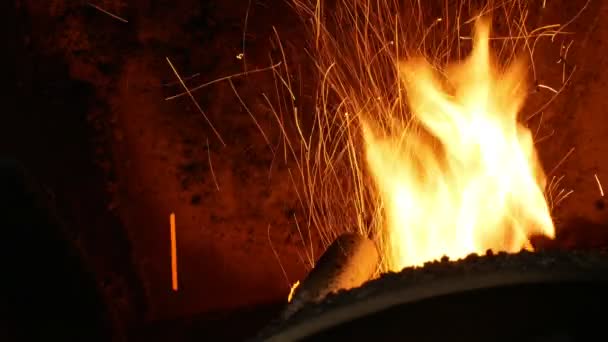 Pellets Combustión Fuego Con Aserrín Abeto Entrega Esparcir Paletas Madera — Vídeos de Stock