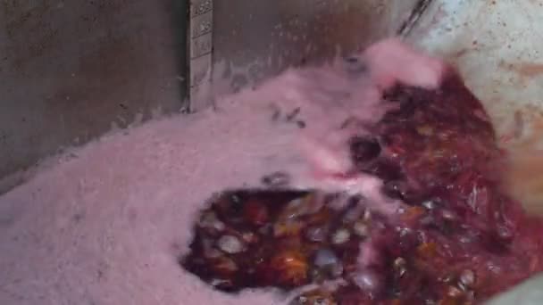 Gieten van vat plum fermenteren en gisting gist in Bad leidde tot door gas boiler afvuren, groeiende distilleerderij voor productie van plum brandy alembic pot nog tijdens het proces van distillatie — Stockvideo