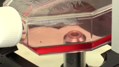 Ceske Budejovice, Çek Cumhuriyeti, 2 Eylül 2018: tüp örnek mikroskop laboratuvar bilimsel araştırma ile bakteri üzerinde bir modern ve bilimsel araştırma