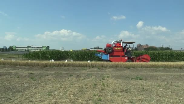 捷克共和国奥洛穆茨, 2018年9月1日: 收割机结合海格160现代专业收获大麦大须谷, 在城市和城市的领域 — 图库视频影像