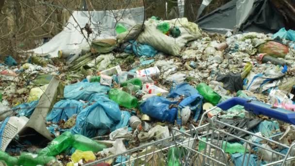 Όλομουτς, Τσεχική Δημοκρατία, 2 Ιανουαρίου 2019,: Σκουπίδια δάσος ψώνια καλάθι μαύρο απορρίψεων αποβλήτων και τοπίο σκουπίδια σακούλες με απορρίμματα αρνούνται σκουπίδια, φύλλα άστεγοι ξύλο πλαστικό φύλλο σαλέ φωλιά 4k — Αρχείο Βίντεο