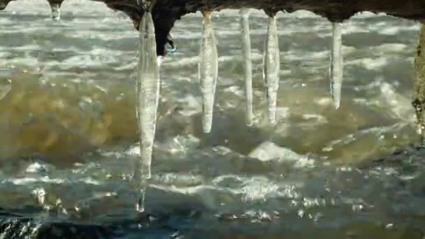 Buz sarkıtları nehir Morava sihirli donmuş kışın su ve buz ile aşağı akan çıkıntı, asılı büyülü beyaz taşlar, güzel bir manzara arka plan, Çek Cumhuriyeti, Europe — Stok video