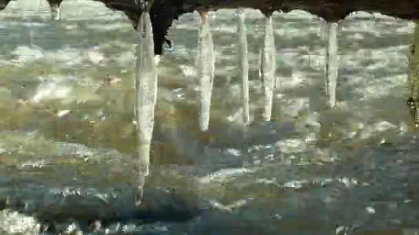 차가워요 물 강 한 겨울 매직 냉동 고 마법의 화이트, timelapse, 오버행, 얼음 돌 아래로 흐르는에서 매달려, 아름 다운 장면 배경, 체코 공화국, 유럽 — 비디오