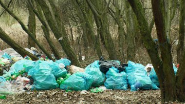 Olomouc, Çek Cumhuriyeti, 2 Ocak 2019: nesli tehlike altında olan doğa, insan toprak kaybı siyah döküm ve çöp plastik çeşitli orman manzara içinde zırva, çanta çöp dolu çöp çöp