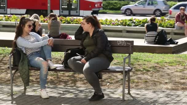 Brno, Tjeckien, maj 20, 2018: autentiska studenter utländska vackra flickor University i Brno sitter och pratar innan skolan, flickor, pojkar, autentiska våren, spårvagn och bilresa — Stockvideo