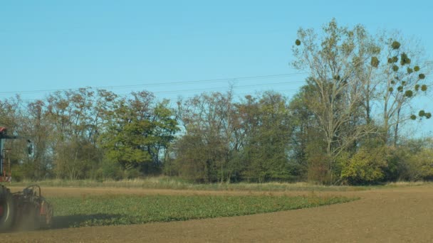 OLOMOUC, REPUBBLICA CECA, 27 OTTOBRE 2018: Raccolta di barbabietole fresche da zucchero Beta nella macchina da campo, mietitrebbia raccolta, carico tuberi conici radice matura, caricatore da un grande mucchio, Europa — Video Stock