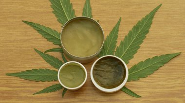 Krem tıbbi kenevir kenevir ve yaprak cannabidiol Cbd merhem üretimi için tohum kalitesi kurutulmuş hasat, ağrı, antibakteriyel ve yatıştırıcı rahatlatır, tohumları pistils ve stigmas ile büyük tomurcuk