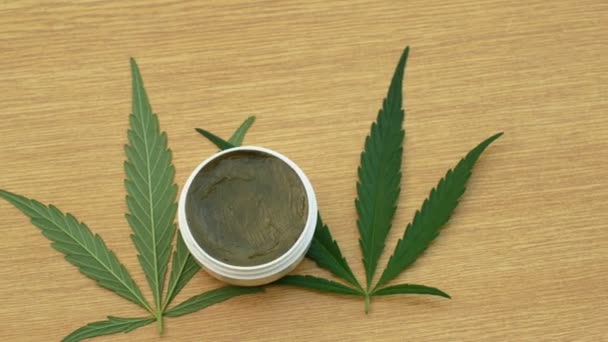 Crema medicinale cannabis canapa e foglie cannabidiolo CBD raccolto essiccato di qualità semi per la produzione di unguenti, allevia il dolore, antibatterico e lenitivo, semi grande germoglio con pistilli e stigmi — Video Stock