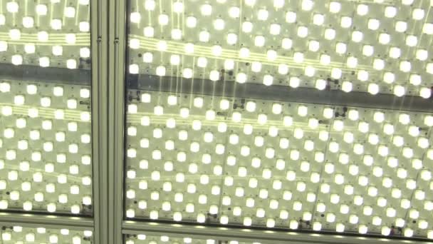 Oświetlenie laboratoryjne w pomieszczeniu nauki oświetlenia laboratoryjnego z żarówkami lub lamp fluorescencyjnych żarówki, ciągłe badania naukowe, halogenowe lampy żarowe, rozproszony strumień świetlny LED, sufit ścianie pokoju — Wideo stockowe