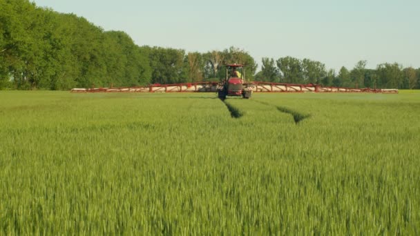 Specjalny Ciągnik do opryskiwania herbicydów przeciw chwastom, pola jęczmienia Hordeum vulgare, pestycydy rozpylania chemicznego lub rodentycydu, stosowanie zanieczyszczeń chemicznych, Europa — Wideo stockowe