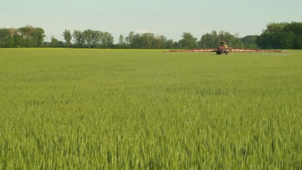 Tractor especial para la pulverización de herbicidas contra las malas hierbas, campos de cebada Hordeum vulgare, pesticidas químicos o rodenticidas, el uso de productos químicos contaminación, Europa — Vídeos de Stock