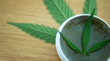 Krem tıbbi kenevir kenevir ve yaprak cannabidiol Cbd merhem üretimi için tohum kalitesi kurutulmuş hasat, ağrı, antibakteriyel ve yatıştırıcı rahatlatır, tohumları pistils ve stigmas ile büyük tomurcuk