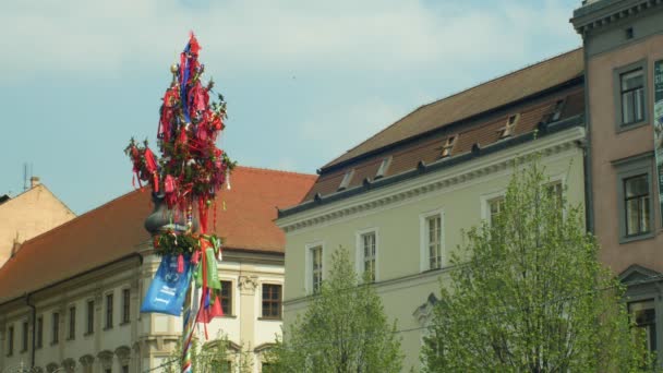 Brno, Tsjechië, 1 mei 2019: Maypole tree Pasen mensen met ornamenten van traditie, mensen wandelen op het plein Svodody, stad leven straat mei, bolding cultureel monument en een toeristische attractie — Stockvideo