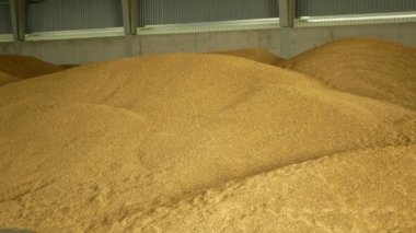 Stok ya da depo yığını, buğday deposu, arpa ve diğer tahıl yığınları ve tahıl yığını ve tepeciği, nem koruma mührüyle çok modern, kalite için teknolojik güvence taze ve dayanıklılık, Avrupa