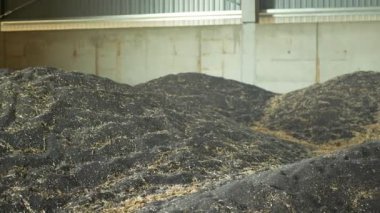 Stok ya da depo yığını tecavüz mağazası, yağlı tohum tecavüzü siyah ve diğer tahıl yığınları ve tepecikleri, nemli koruma mührüyle çok modern, kalite güvencesi taze ve dayanıklılık, kanola ya da Brassica napus yağı