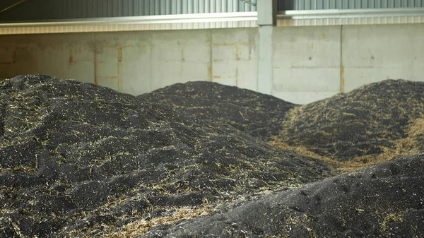 Armazém pilha colza ou estupro, colza preta e outros cereais e montes de cereais, estoque com selo de proteção contra umidade, tecnológico fresco, óleo de canola Brassica napus — Fotografia de Stock