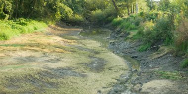 Kuraklık ve kurutma nehri Morava suyu, toprağı kurutma çatlağı, ötrofikasyon iklim değişikliği, çevre felaketi, siyanobakteri ve alglerin büyümesi için oksijen eksikliği.