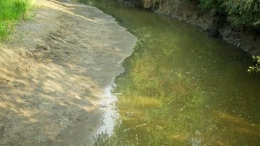 Kuraklık ve kurutma nehri Morava suyu, toprağı kurutma çatlağı, ötrofikasyon iklim değişikliği, çevre felaketi, bitkiler ve hayvanlar için ölüm, kuru bozulma, susuzluk, çölleşme