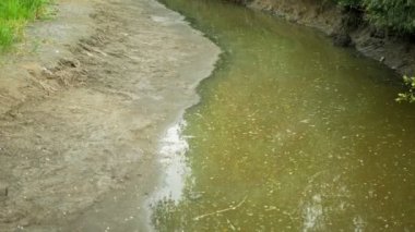 Kuraklık ve kurutma nehri Morava suyu, toprağı kurutma çatlağı, ötrofikasyon iklim değişikliği, çevre felaketi, siyanobakteri ve alglerin büyümesi için oksijen eksikliği.