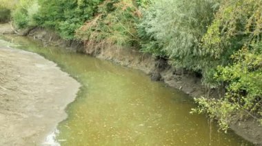 Kuraklık ve kurutma nehri Morava suyu, toprağı kurutma çatlağı, ötrofikasyon iklim değişikliği, çevre felaketi, siyanobakteri ve alglerin büyümesi için oksijen eksikliği.