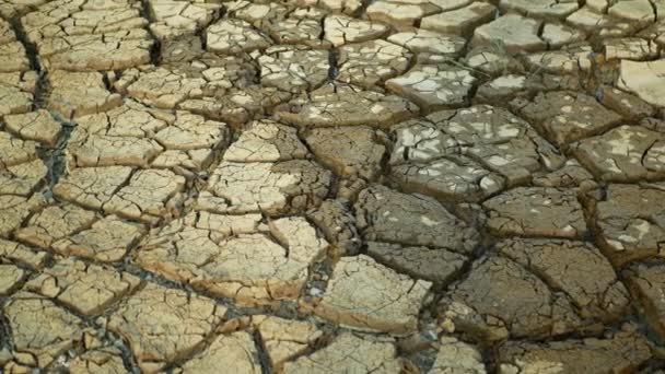 Sequía estanque agrietado humedal, pantano muy secando la corteza del suelo tierra cambio climático, desastre ambiental tierra grietas muy, la muerte de las plantas y los animales, tierra seca degradación pantano — Vídeo de stock