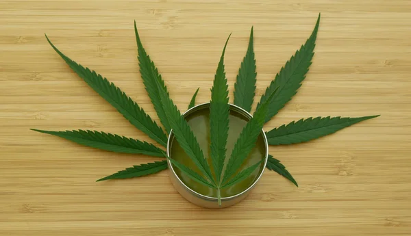 크레 암 칸 나비스 지방 (Cream cannabis hemp) 연고 (cannabidiol CBD lubricate leaves) 생산을 위해 씨앗질을 수확하고, 통증을 제거하며, 항균제를 완화시키며, 암술 스티 기스를 가진 큰 꽃봉오리를 심는다. — 스톡 사진