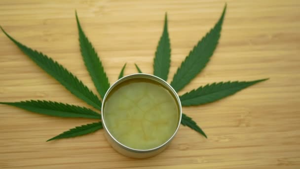 Crema de cannabis pomada de cáñamo lubrica en la mano medicinal cannabidiol hojas de la correa CBD, masaje corporal efecto relajado, alivia la aplicación de exfoliante para el dolor, linimento relajarse, calmante antibacteriano, marihuana THC — Vídeo de stock