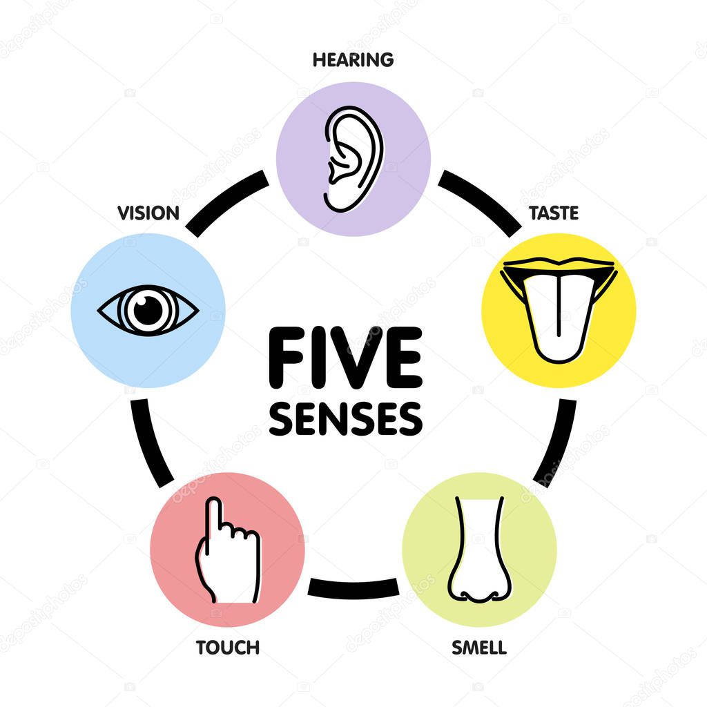 Five senses line icons. Human ear and eye symbols, nose and mouth outline vector signs