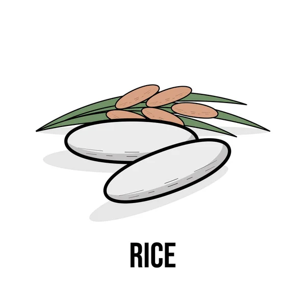Reis Bioprodukt Vektorflache Illustration Natürliche Gesunde Öko Lebensmittel Weiße Reiskörner — Stockvektor